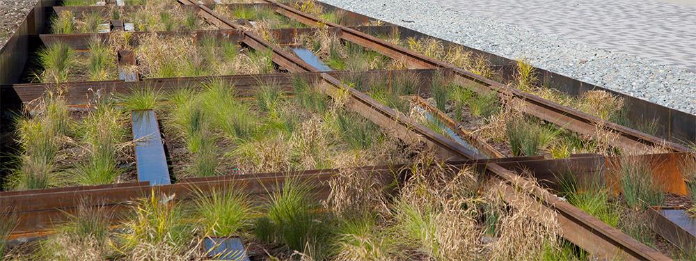 Image of rain garden underneath historic railroad tracks, which doubles as a stormwater treatment facility.