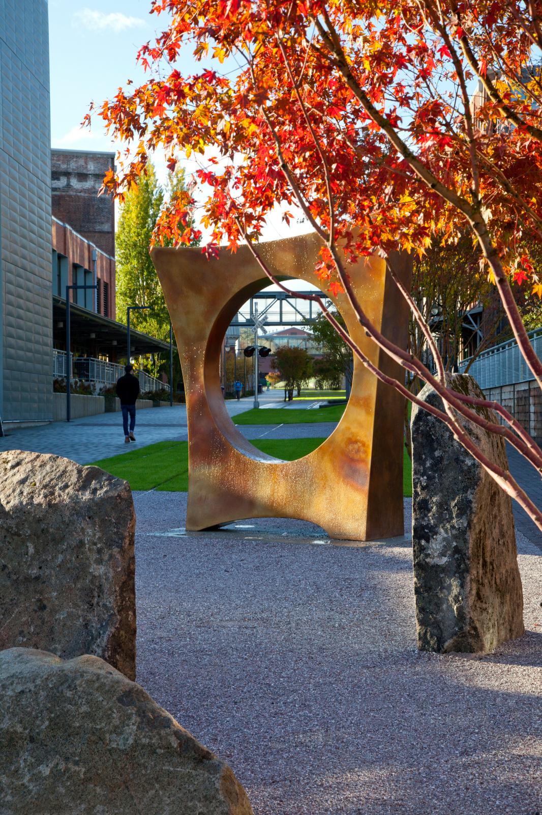 The bronze sculpture, Maru, a bronze square with circular void, with Japanese maples in foreground. Photo credit UW Tacoma.